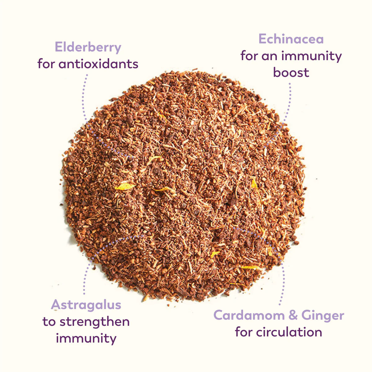 Elderberry Protect - Image 8